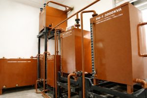 whatsapp image 2026 04 07 at 11.06.12 am (1)